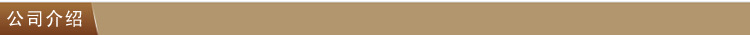公司介绍01