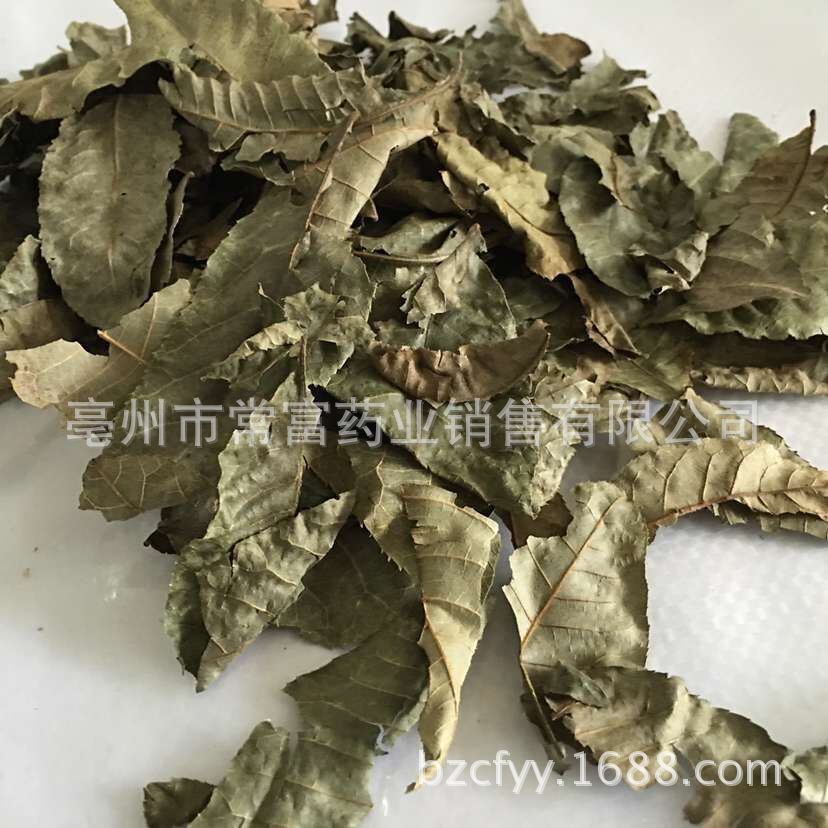 Cyclocarya Pilius Qing Qian Liu Whole Leaf Tea 500g Fujian Origin overview