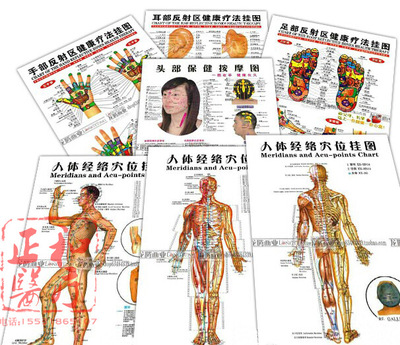 human body Main and collateral channels acupoint Poster Chinese-English standard Points chart Standard Edition clear Main and collateral channels acupuncture Poster