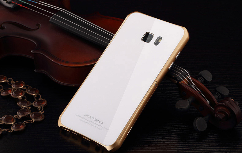 Luphie Aircraft Aluminum Metal Frame 9H Tempered Glass Back Cover Case with Kickstand for Samsung Galaxy Note 5 N9200