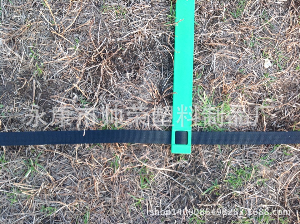 50532136B9B4E061578B8BB5D20040