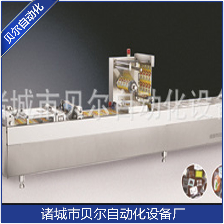 厂家供应 全自动真空包装机 食品包装机械  真空包装设备