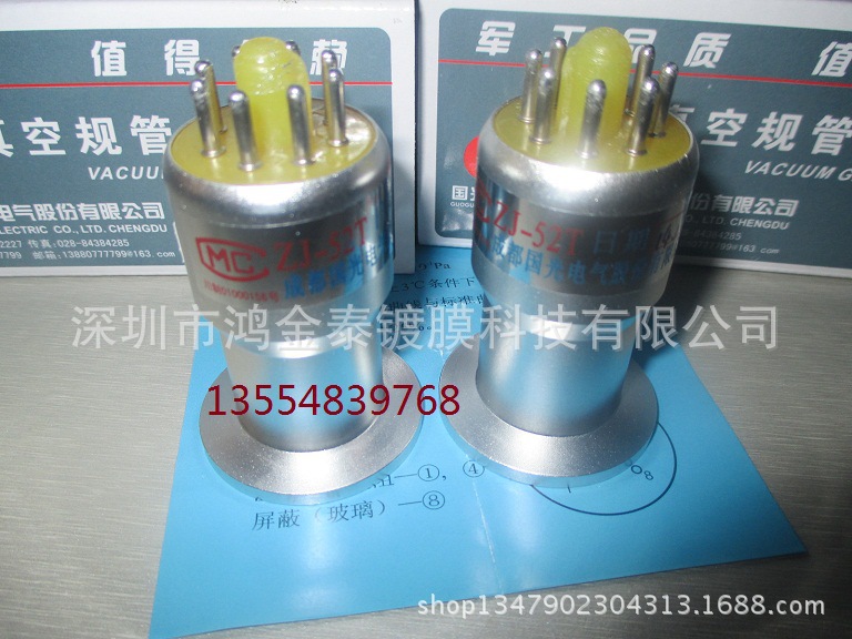 国光ZJ-52TKF25电阻金属规管 法兰接口