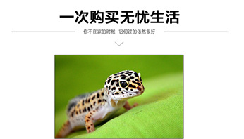 详情页_02_副本3