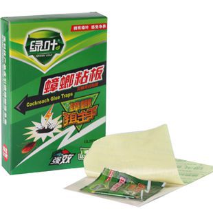 QQ图片20150603100042_副本-02