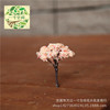 Micro -shrinking moss micro -landscape bonsai decoration simulation cherry trees happy tree incense tree sand table model