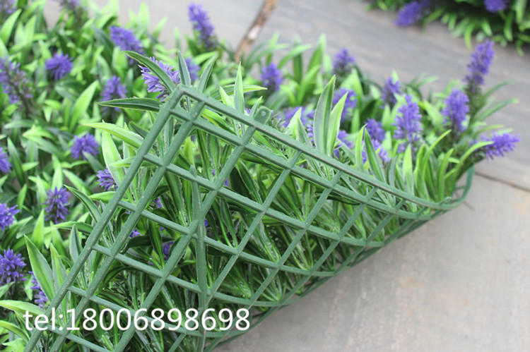 IMG_4872_副本_副本_副本