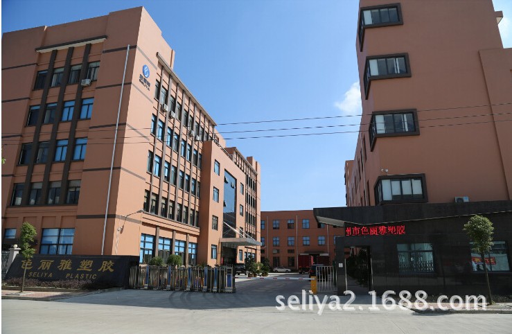 色丽雅公司大门