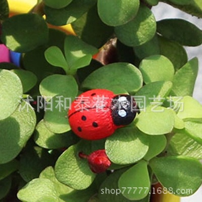 Ladybug Gardening accessories Micro Landscape Decoration woodiness Ornament Potted plant Landscaping