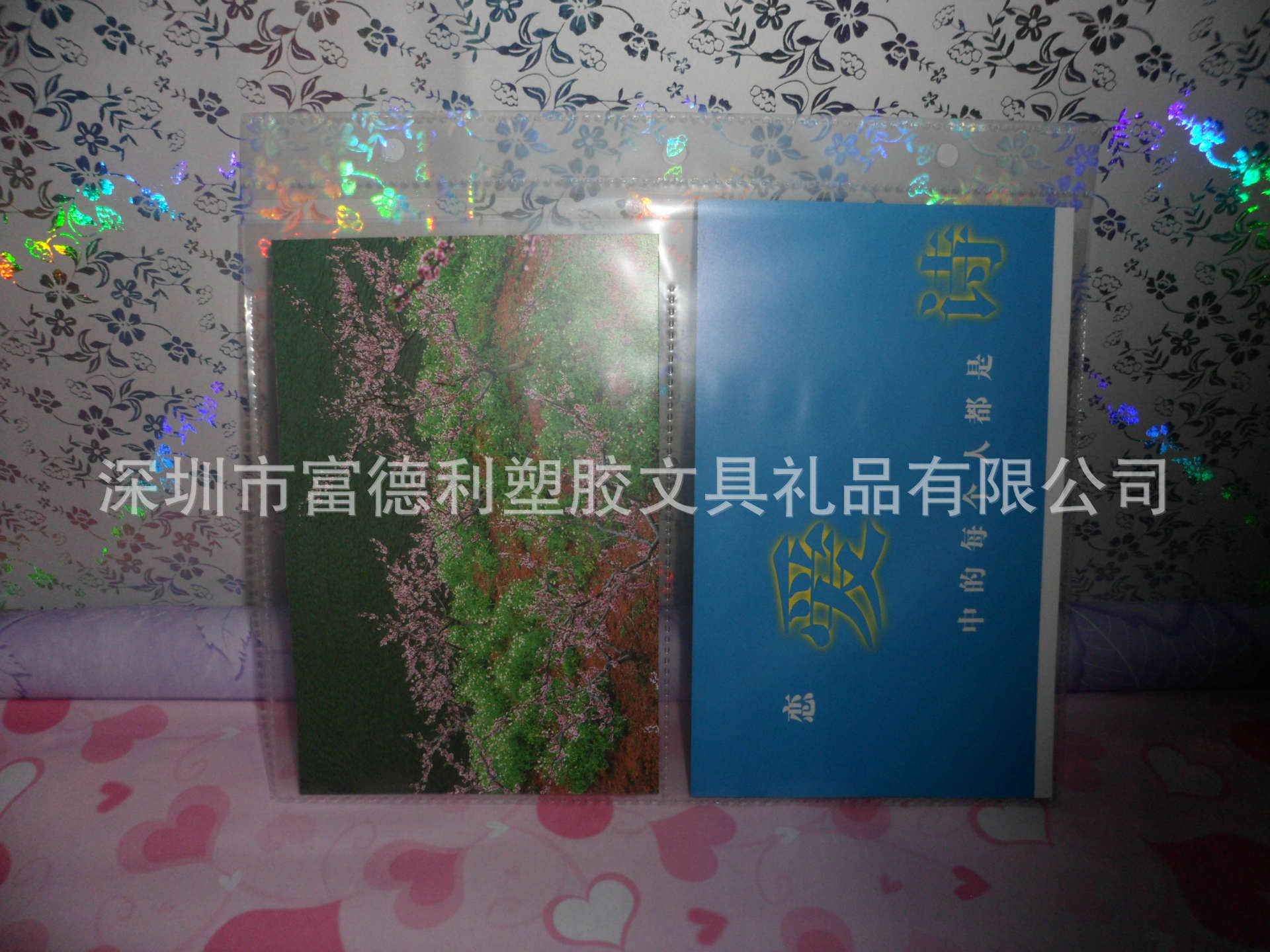 SAM_1498