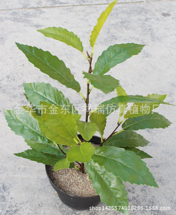 XRB-122夏栎叶四叉枝立体30叶55厘米6