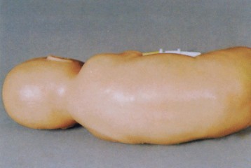 201205141113313423