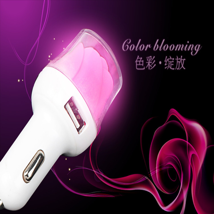 chargeur - Ref 1295763 Image 14