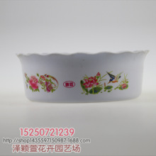 批发花卉植物盆栽 水仙花花盆 碗莲睡莲塑料盆 莲花形状 量大价优