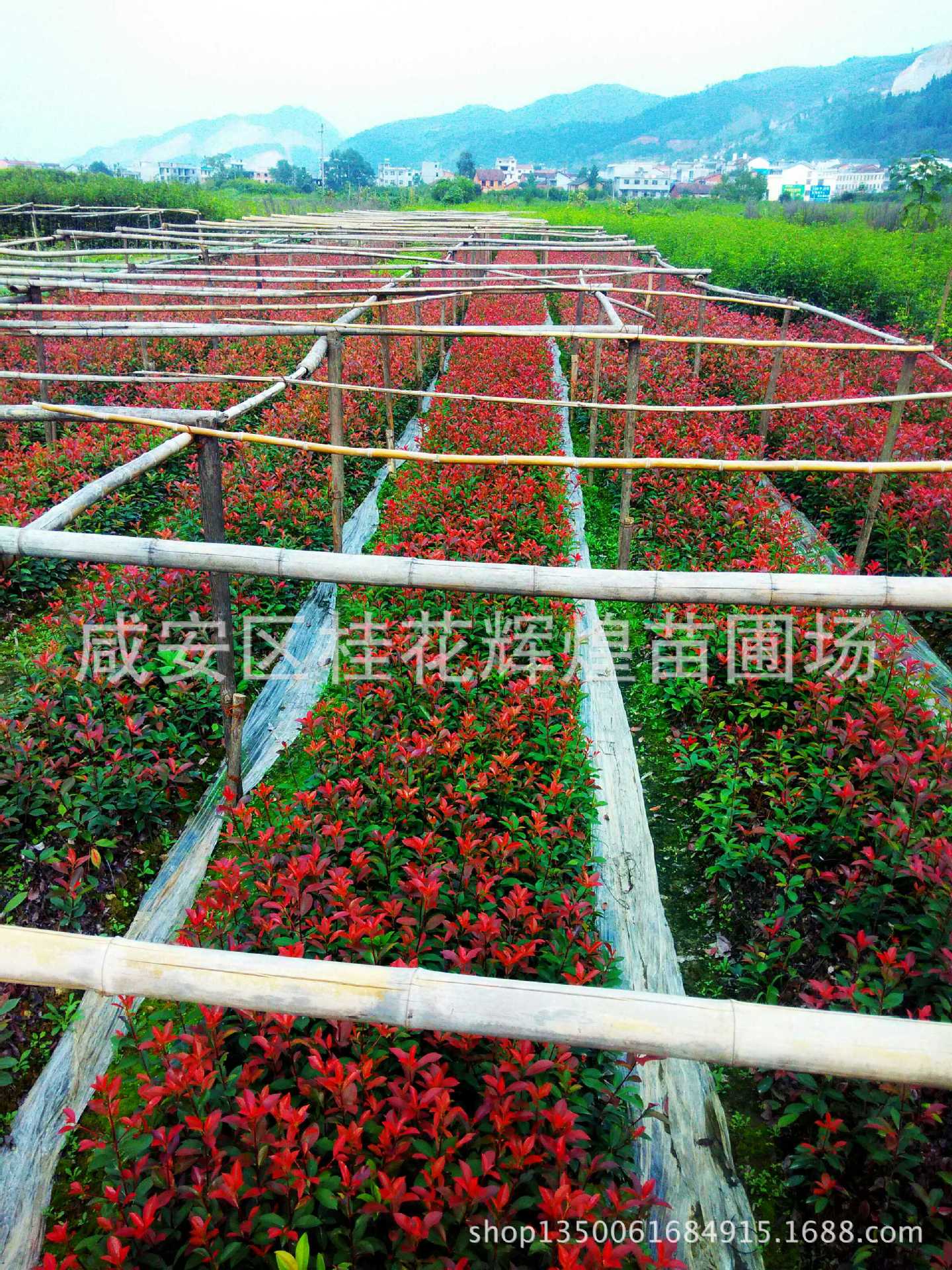 IMG_20151009_152141_HDR