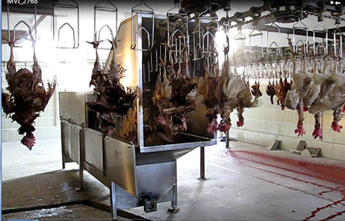 直式噴淋燙毛機(jī)_副本