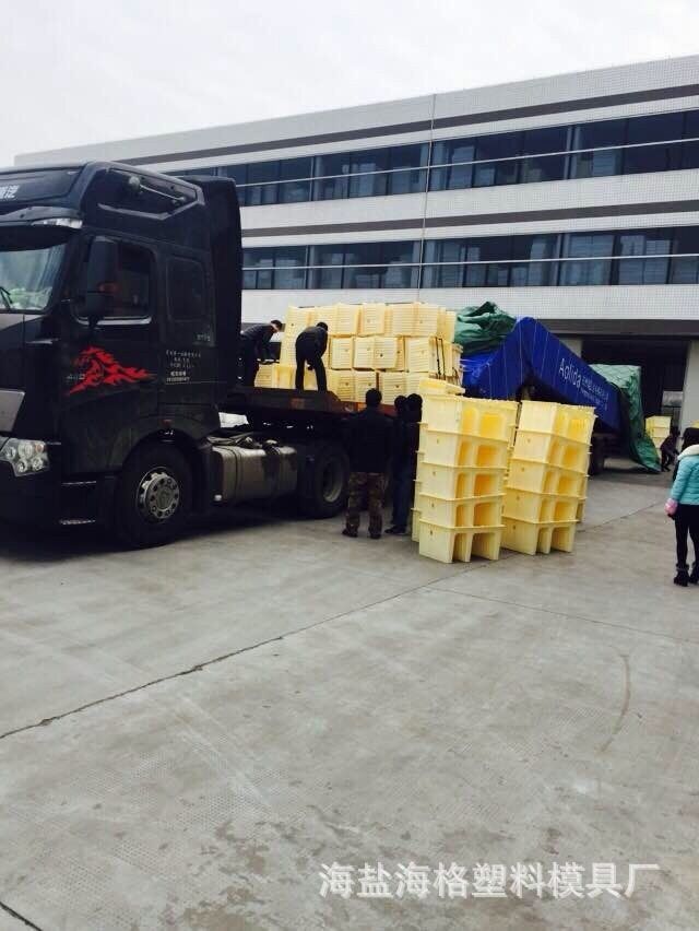 2004350718_1286069306