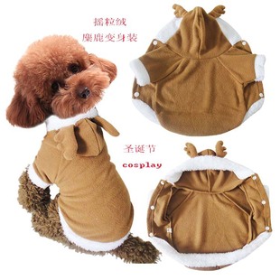 �}�Q؈�����b���l�ﶬ�����·� cosplay�}�Q�b��¹׃���bС���·�