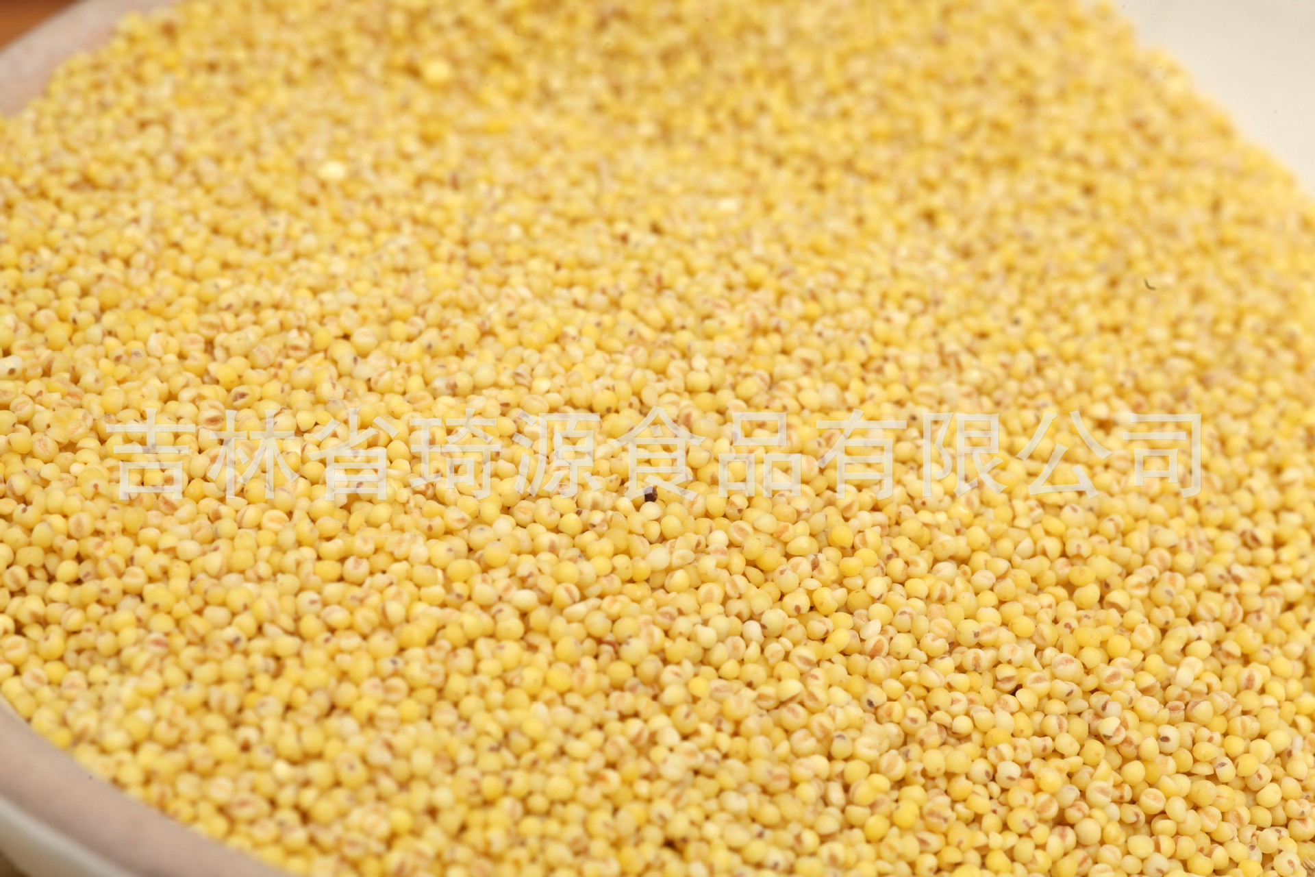 Low Temperature Roasted Millet Whole Grain Cereal for Congee and Soy Milk Northeast China specifications