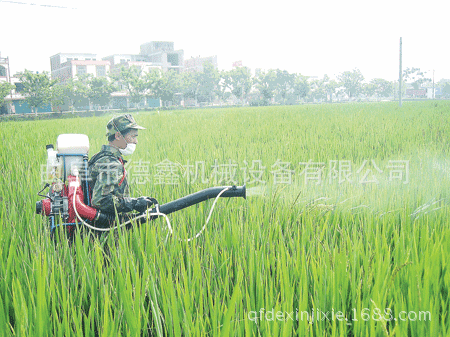 T2FutgXiRMXXXXXXXX_!!687867725