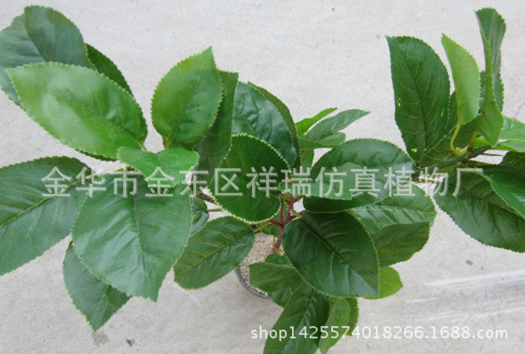 XRB-096梨叶五叉支40叶65CM叶子