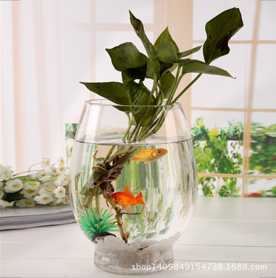 Manufactor Direct selling transparent Glass Hydroponics Dinosaur Eggs vase Goldfish bowl Scindapsus vase Dual use goods in stock wholesale