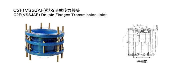 双法兰C2F(VSSJAF)DN65传力接头展示图