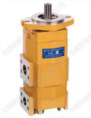 CBTLZT-F20/F16-AFP,双联齿轮油泵