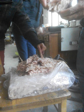 ���ţ�����O�� ���⾏���O�� ΢����������Ӱ�