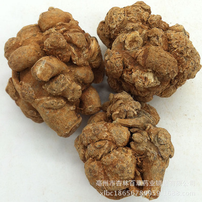 云南文山春三七 三七20头  大量中药材低价批发优质三七|ms