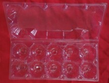 �S�����l �u�� ������ ���� ������ ������ 10ֻ�b����