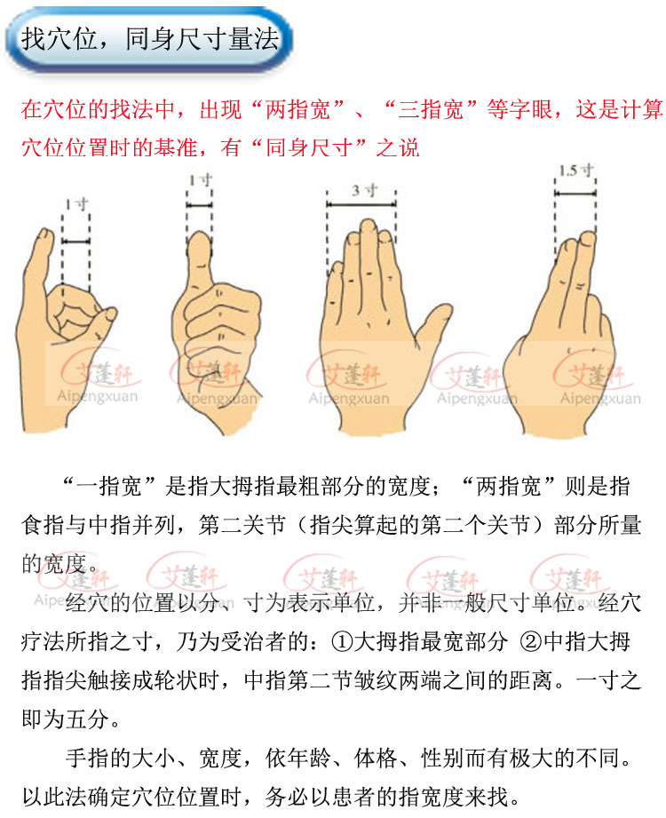 找穴位共用資料