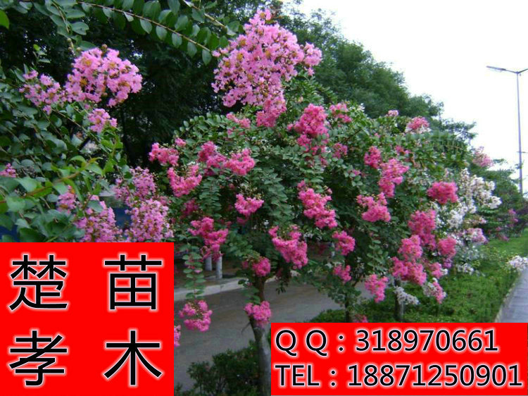 3ecf4d09bf34413e896d39e40e4fb7