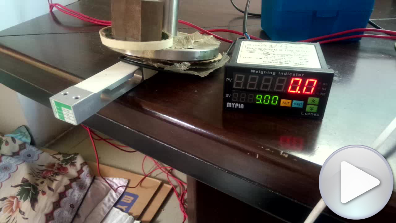 LH86系列称重表演示