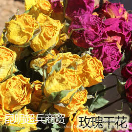 邪恶漫画皮衣诱惑高清图片