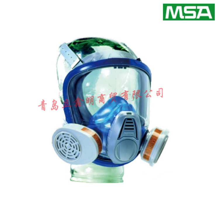 Masque à gaz en Lentille en polycarbonate - Protection respiratoire - Masque à gaz - Ref 3403642 Image 11