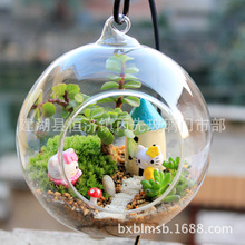 玻璃吊球悬挂景观玻璃瓶微景观造景生态瓶多肉植物苔藓瓶悬挂烛台