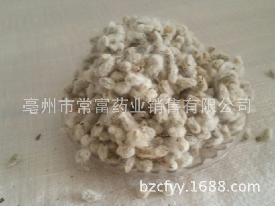 Cotton Seed Mian Zi 500g Dried Whole Seeds for Culinary and Traditional Herbal Use quality and texture