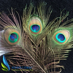 �F؛�N��25-30cm �����b��ȸë ��ȸ��ë  ��ȸë�b��b�o��