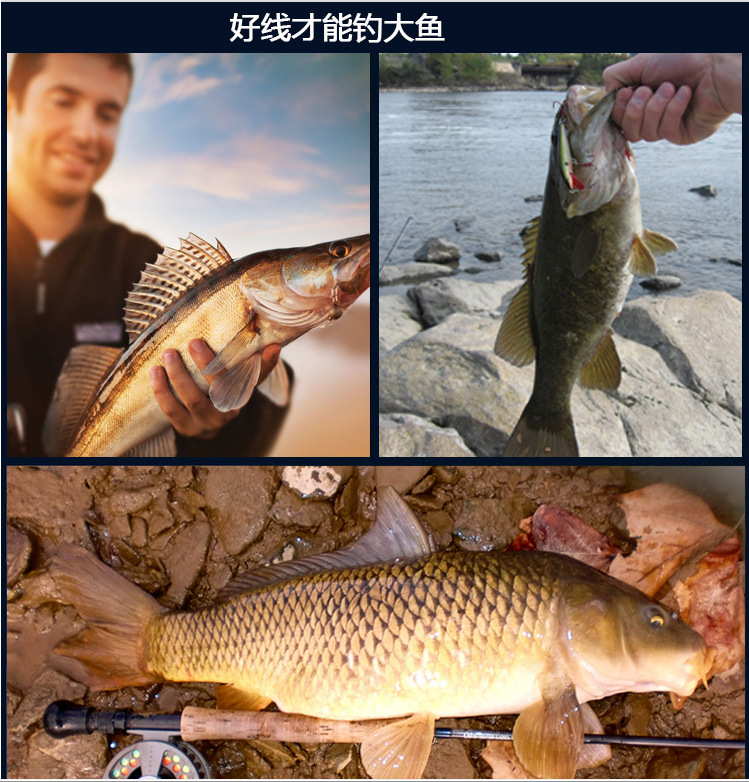 K@7JE9{(J}BCSG@O0LGOJ~5