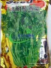 高档耐热香菜种子 美国耐热香菜种子 500g 大田用种 耐高温
