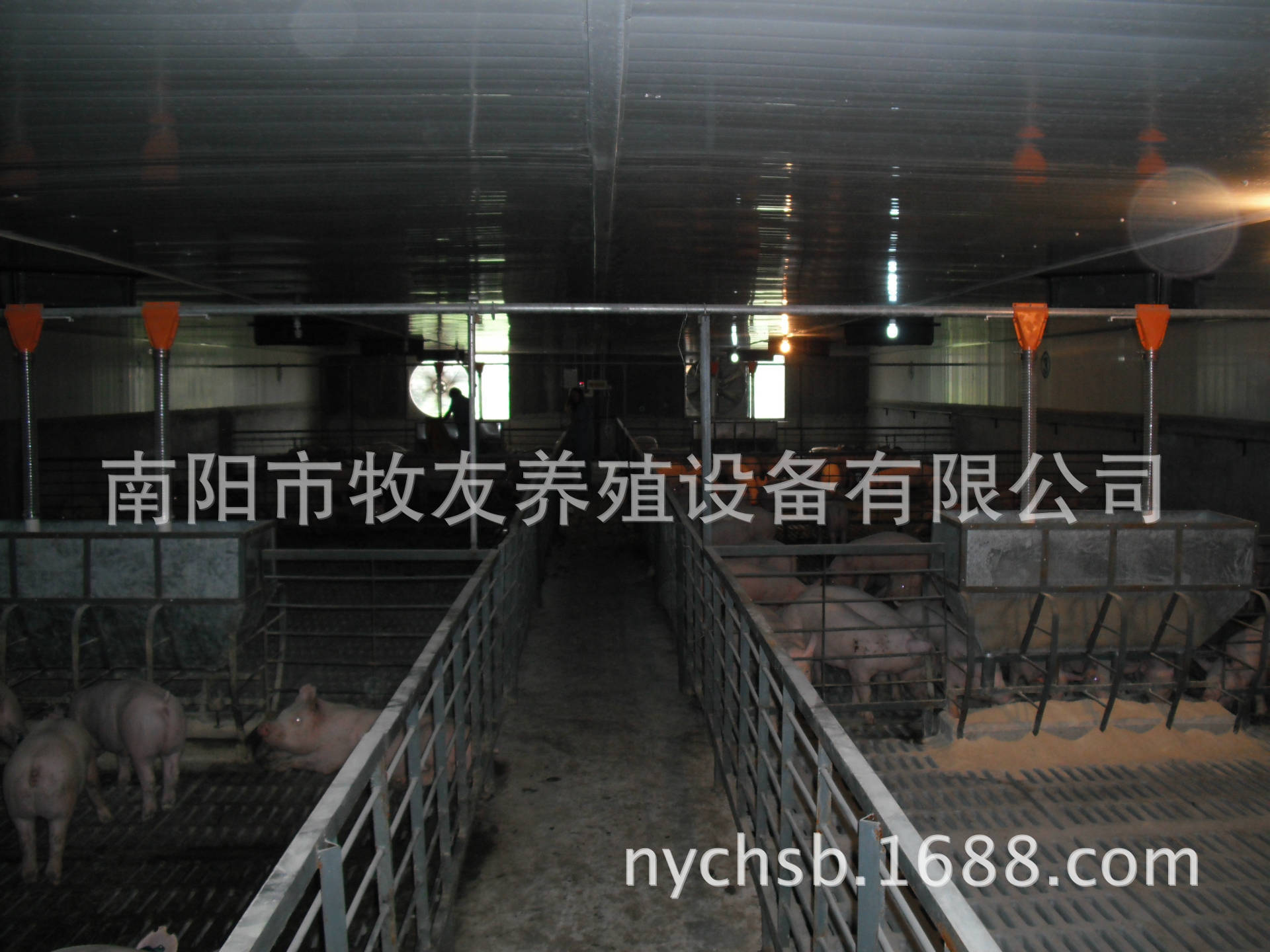 牧原楼房猪舍,牧原猪舍墙,牧原猪舍(第11页)_大山谷图库
