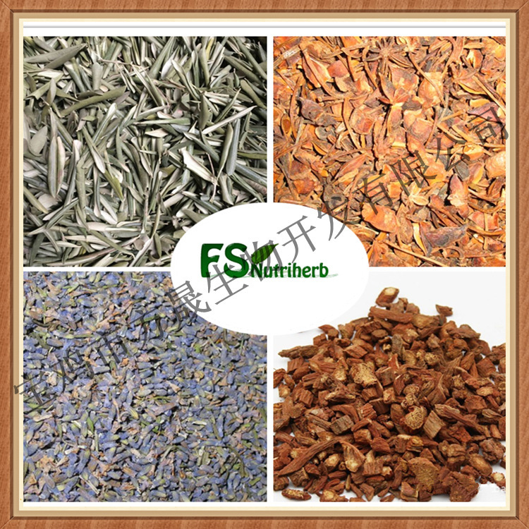 2056545369_1267102660[1]