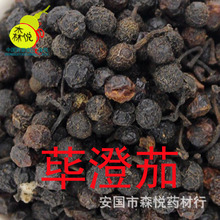 毕澄茄 中药材 荜澄茄 毕茄 山香椒 澄茄 毗陵茄子 山鸡椒 山苍子