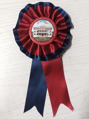 Tinplate badge Plastic badge Chest badge logo customized Plastic worker's number plate Custom medals trophy