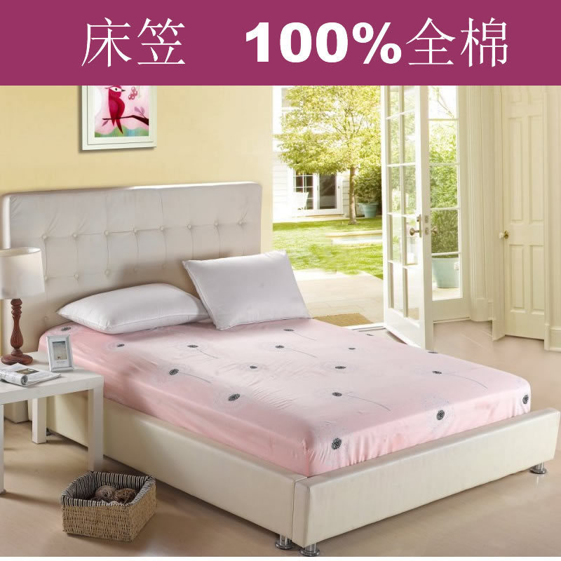 蒲公英