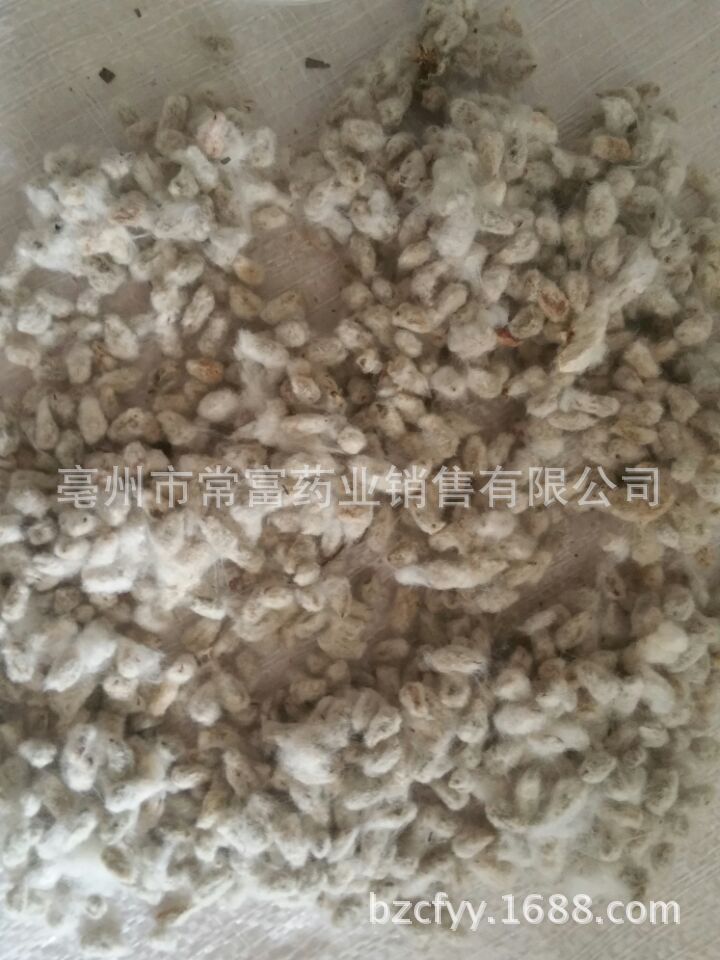 Cotton Seed Mian Zi 500g Dried Whole Seeds for Culinary and Traditional Herbal Use specifications
