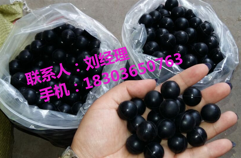 圖片203_副本