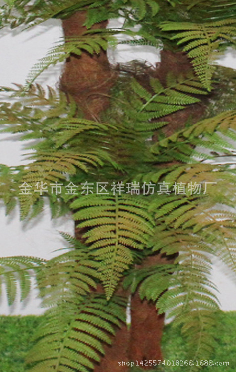 XRS-042三杆包棕桫椤叶树87叶155厘米3