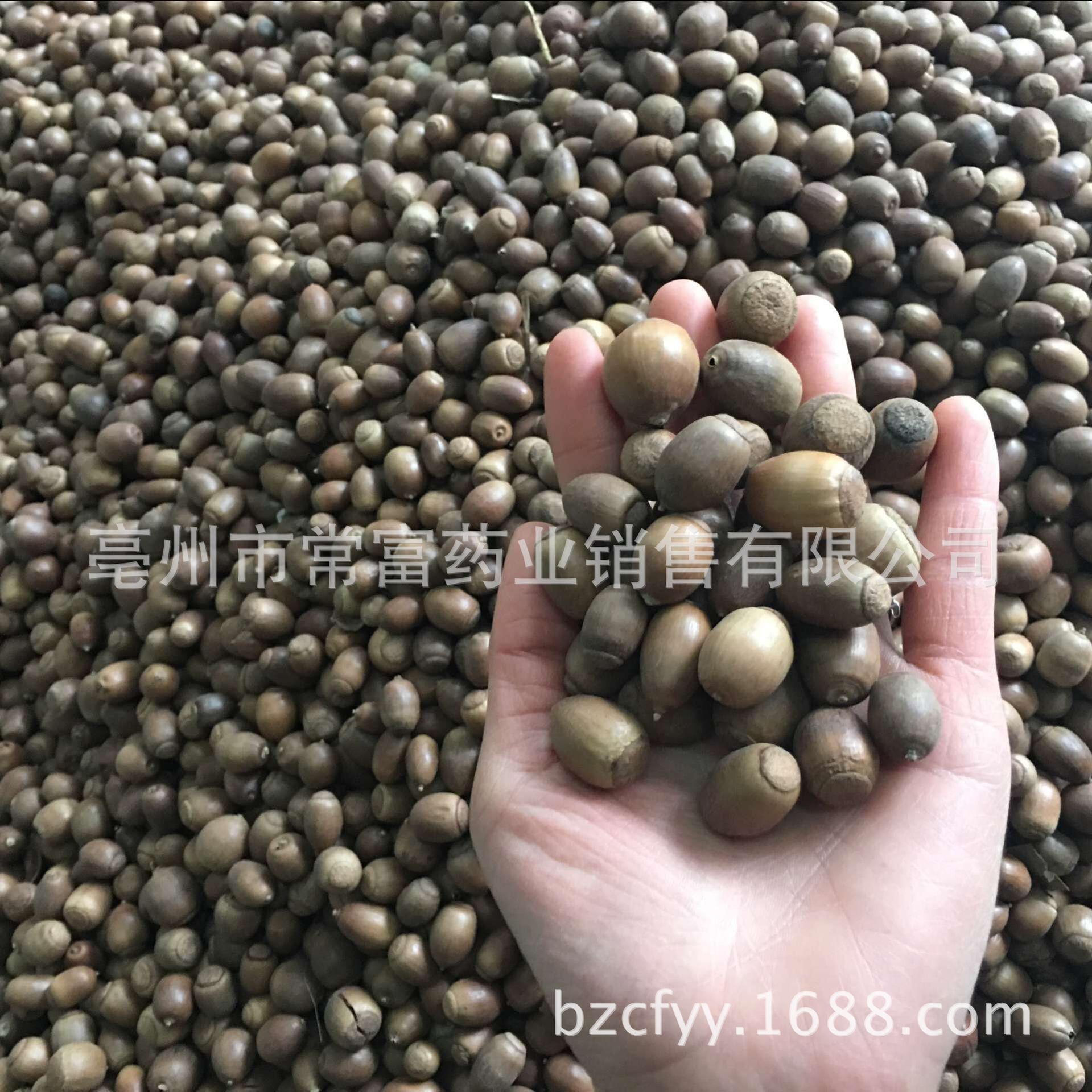优质新货橡子果 橡树种子 工艺品 串 原料 橡子仁 橡子粉80-200目-阿里巴巴